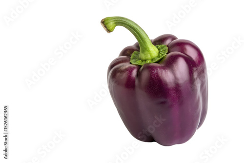 A single purple bell pepper close view isolated on transparent background