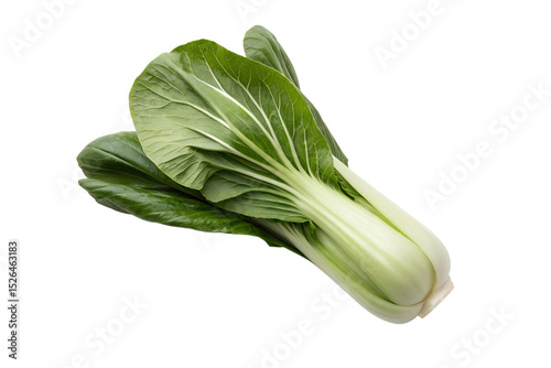 Fresh bok choy vegetable close up view isolated on transparent background