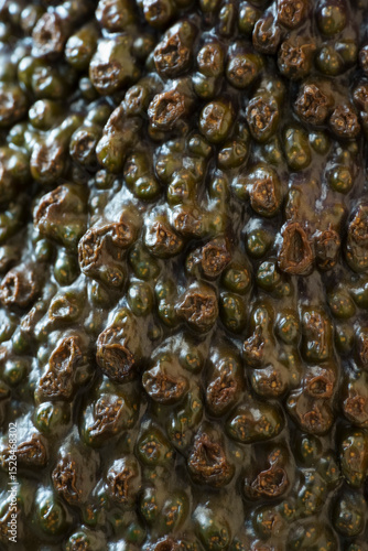 Macro photo of avocado peel texture, food photo