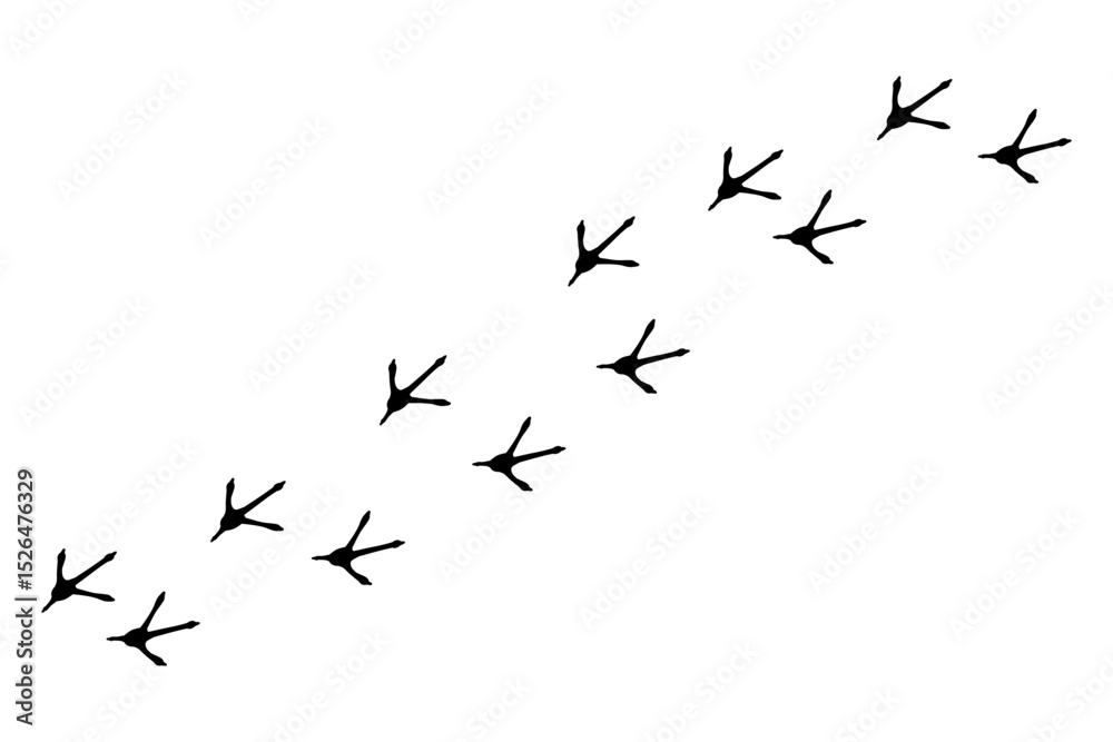 Naklejka premium Bird footprint chicken foot track, feet print, paw step hand drawn doodle. Sketch simple turkey, hen trail. Crow walk steps mark.