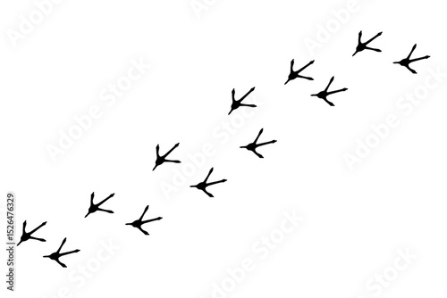 Bird footprint chicken foot track, feet print, paw step hand drawn doodle. Sketch simple turkey, hen trail. Crow walk steps mark.