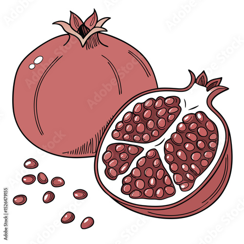Pomegranate Fruit with Seeds and Half Cut in Illustration Style on White Backdrop