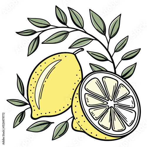 Two Yellow Lemons with Green Leaves Line Art Illustration on Transparent Background