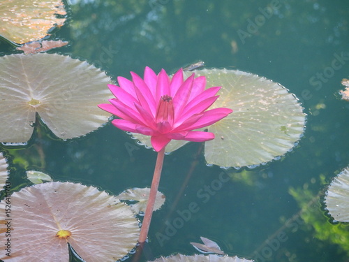 Bali and Singapore 1 