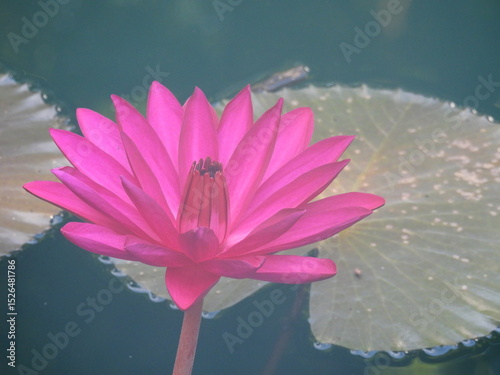 Bali and Singapore 1 