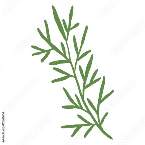 Rosemary