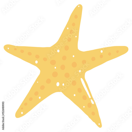 starfish isolated on white background