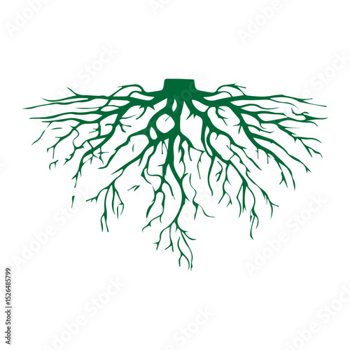 root icon