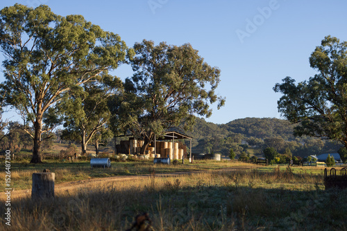 Hay shed on farm filled with round bales in warm early morning light photo