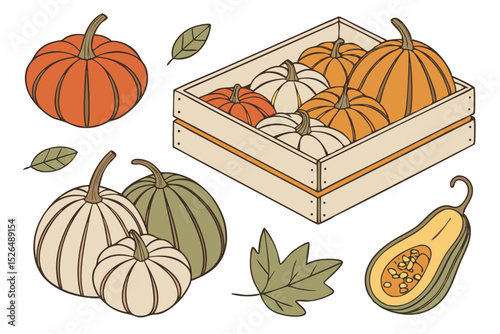 illustration-of-colorful-pumpkins--set-grid-squash