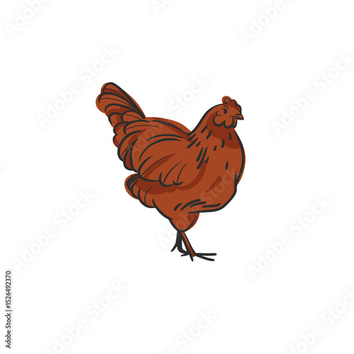 Hand drawn abstract vector graphic illustration collection with cute, stylized domestic animals rooster and hen character.Trendy modern farm design concept.Vector line farm animal symbol. animal icons