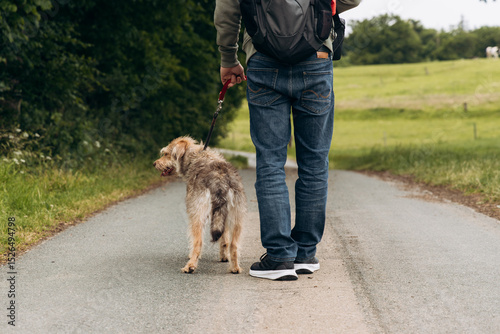 Person walking a small dog along a scenic country road surrounded by lush greenery and open fields, enjoying a peaceful outdoor experience