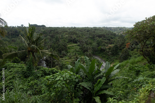 Panorama di risaie a terrazza immerse nella giungla tropicale