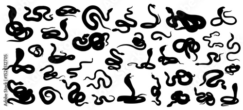 Serpentine Snakes Silhouettes Pack: Striking collection of snakes gracefully dancing against the backdrop, illustrating their diverse forms. Witness the hypnotic allure of these mysterious creatures.