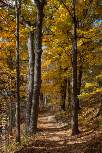 Beautiful Autumn scenery along Spencer Gorge hiking trail in Hamilton, Ontario, Canada