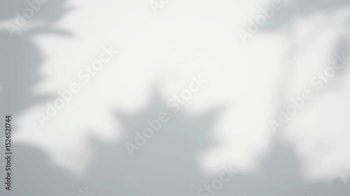 Morning sunlight and tree shadows blowing by wind reflecting on white texture background, for overlay on product presentation, backdrop and mockup, Abstract 4k stock video background.