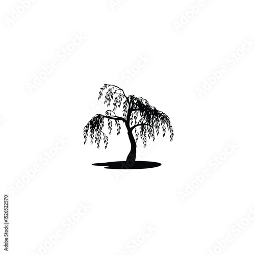 A willow tree bending over a small pond silhouette on white background