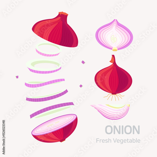 Onion set. Flat style graphic. Vector format.