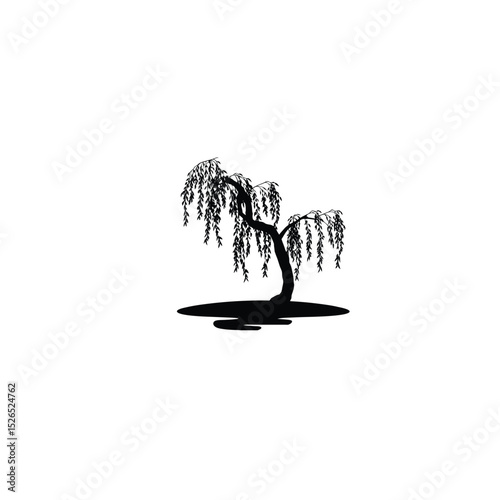 A willow tree bending over a small pond silhouette on white background