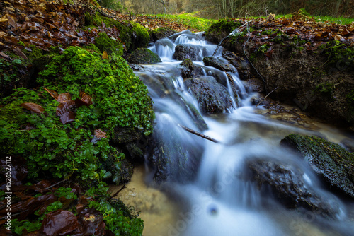 Wasser