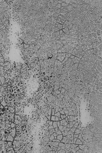 Old cracked gray paint forms a bizarre pattern. Abstract background.