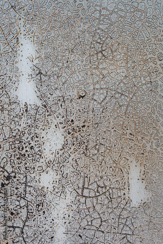 Old cracked gray paint forms a bizarre pattern. Abstract background.