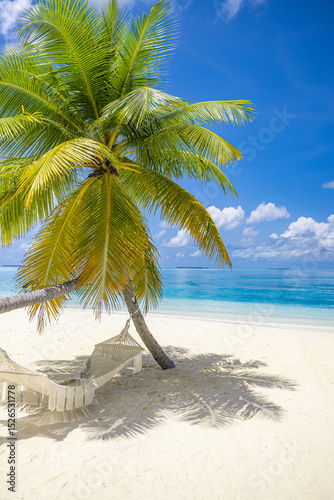 Fototapeta Naklejka Na Ścianę i Meble -  Picturesque tropical beach background as summer relax landscape with beach swing or hammock white sand calm sea sunny sky design. Amazing beach scene vacation summer holiday. Luxury panoramic travel