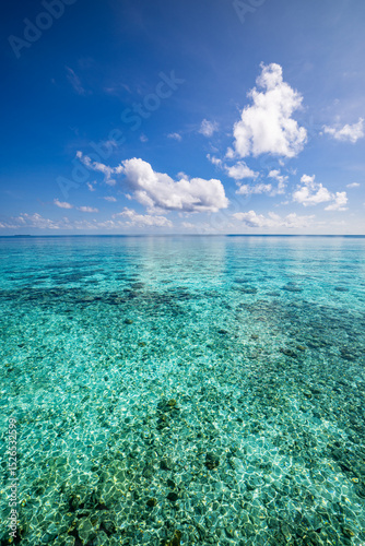 Breathtaking tropical ocean seascape sunny blue sky fluffy clouds. Amazing horizon sea view. Tranquil serene nature scenes travel inspiration relaxing coastal background. Summer nature, Earth panorama