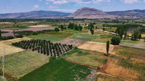 Aerial view of cultivated fields, trees and a mountain under a blue sky with clouds in Civril