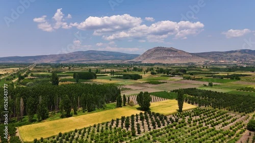 Aerial view of cultivated fields, trees and a mountain under a blue sky with clouds in Civril