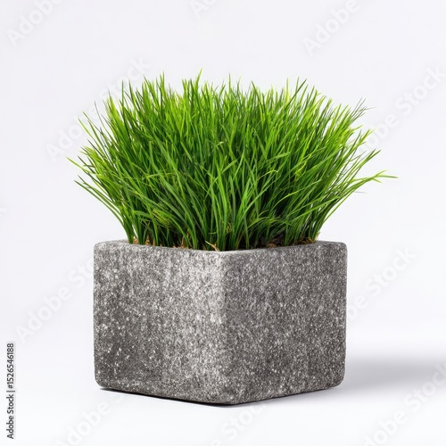 Small, artificial grass plant in a textured gray square pot.  Fresh, vibrant green grass tufts sit atop a gray, stone-like planter