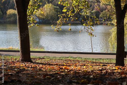 Autumn landscape on the lake in the city park.