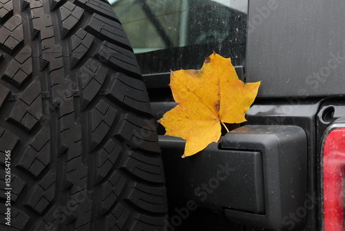 Black, yellow and red are the colors of autumn.