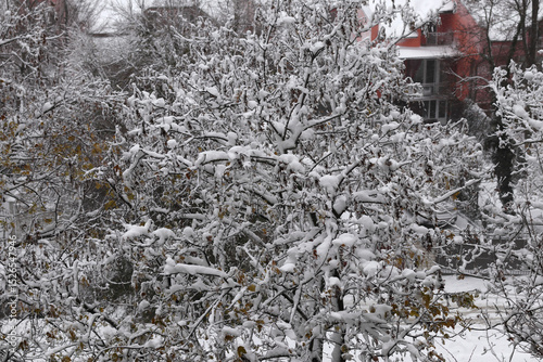 Urban winter landscape after a snowfall.