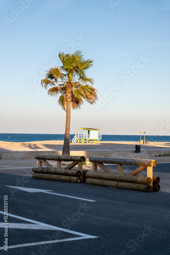 Fototapeta Naklejka Na Ścianę i Meble -  tropical beach with palm trees