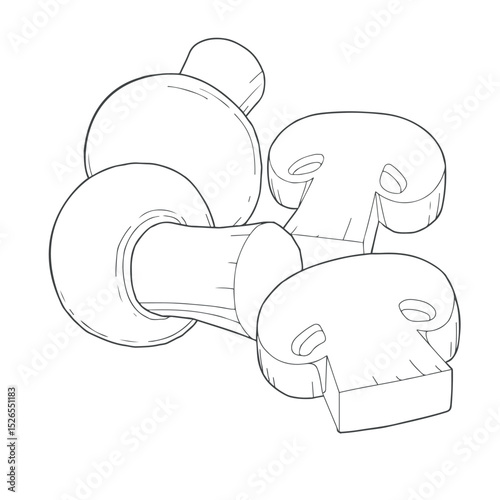 sliced mushrooms vector illustrations