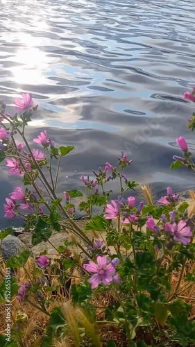 Wallpaper Mural flowers at  the sea side., nature view in summerz sparkles on the water Torontodigital.ca