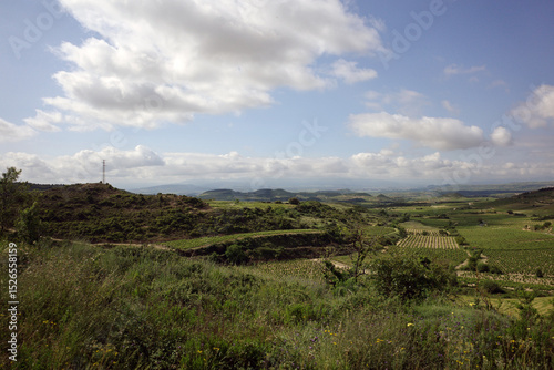 Vineyards in the countryside of Basque Country