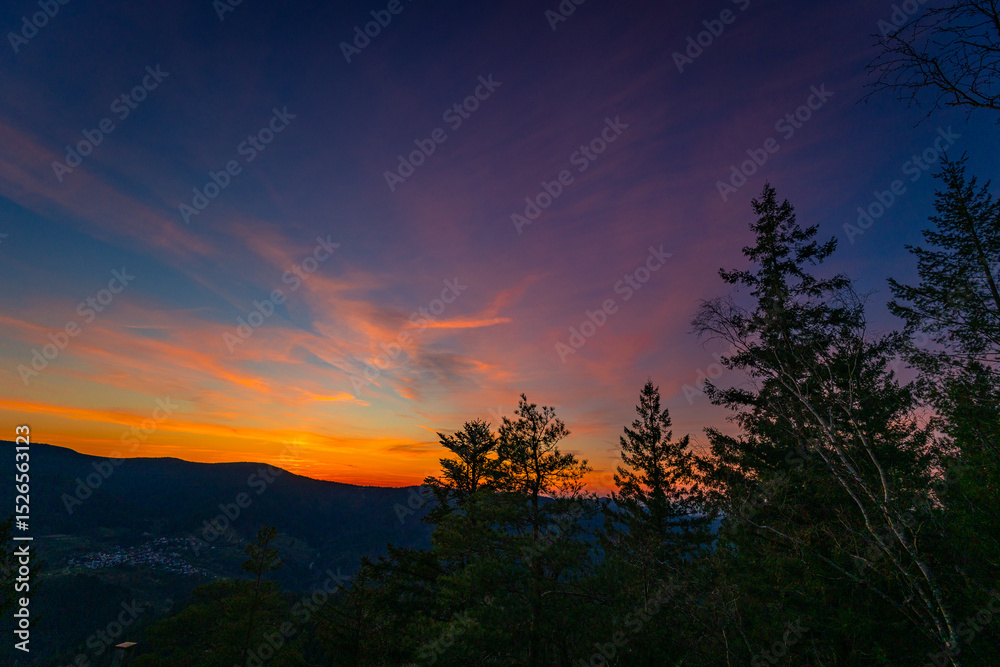 Fototapeta premium Schwarzwald