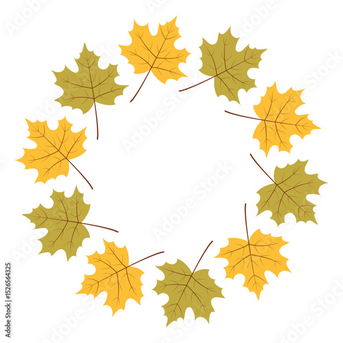 Colorful autumn leaves arranged in a circular pattern on a white background showcasing seasonal beauty and nature's artistry