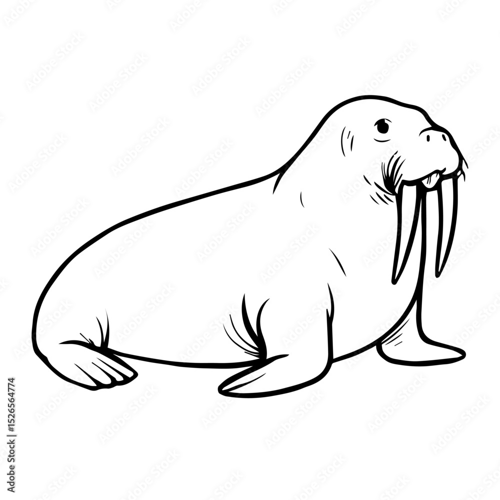 Fototapeta premium walrus vector realistic line icon on white background Vector line icon animal, wildlife