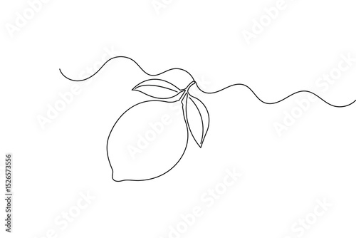 Minimal one line art lemon  simple continuous drawing isolated vector
