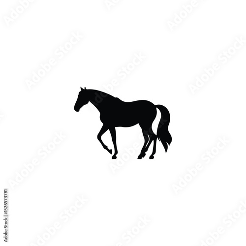 Horses Silhouettes