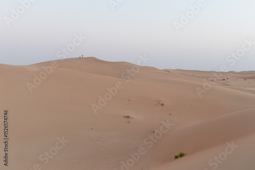 Fototapeta Naklejka Na Ścianę i Meble -  Coppia che cammina tra le dune del deserto al tramonto..