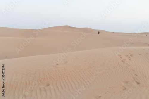 Fototapeta Naklejka Na Ścianę i Meble -  Coppia che cammina tra le dune del deserto al tramonto