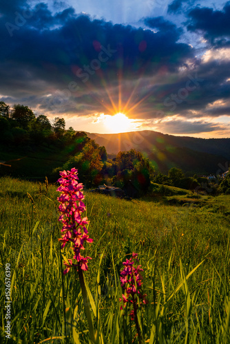 Schwarzwald