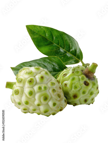 Tropical Herbal Fruit Mengkudu Noni Isolated White Background Transparent Background