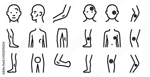 Human anatomy line art for medical study and illustration