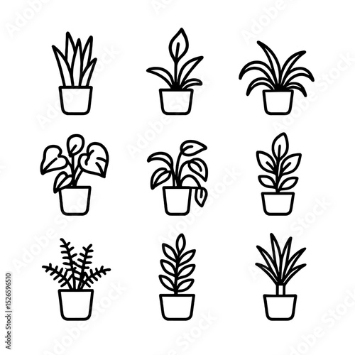 Air-Purifying Plant Icons. Outline icon set of air-purifying plants: snake plant, peace lily, spider plant, philodendron, pothos