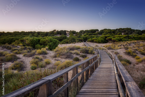 Wallpaper Mural Camino entre las dunas, Punta Umbría. Torontodigital.ca